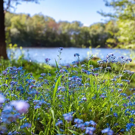 Na Kaszubach W Kamieniu *