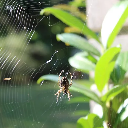 Дом отдыха Na Kaszubach W Kamieniu *