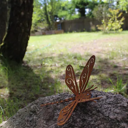 Na Kaszubach W Kamieniu Kamien (Pomerania)