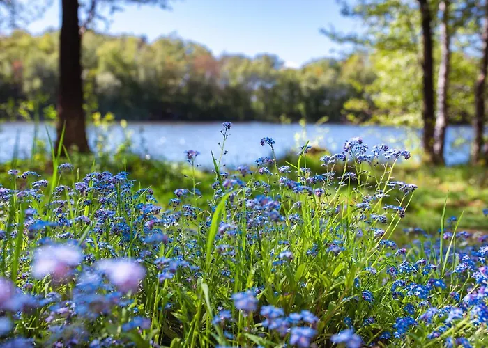 Na Kaszubach W Kamieniu *