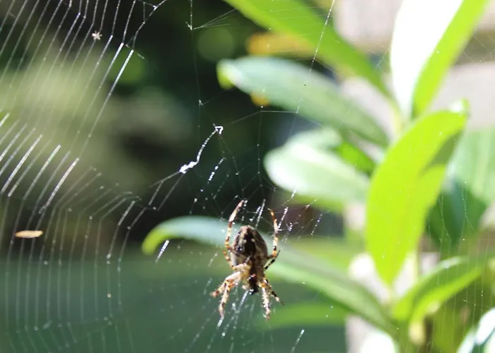 Сasa de vacaciones Na Kaszubach W Kamieniu *