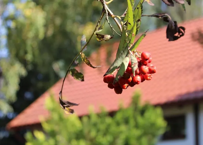 Na Kaszubach W Kamieniu Сasa de vacaciones Kamień