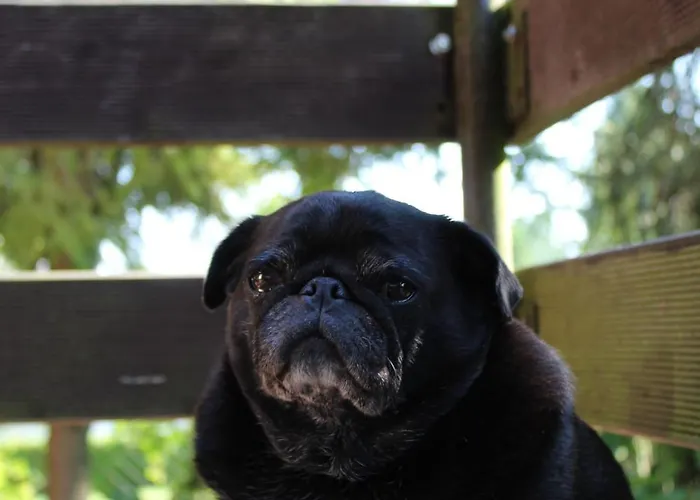 Сasa de vacaciones Na Kaszubach W Kamieniu Kamień