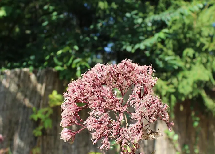Na Kaszubach W Kamieniu *