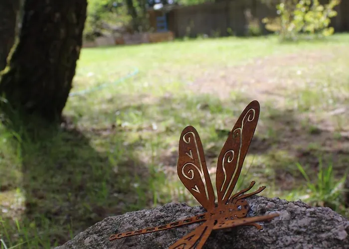Na Kaszubach W Kamieniu Kamień